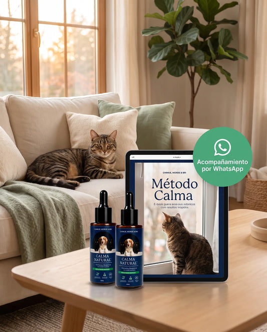 Kit Calma Natural